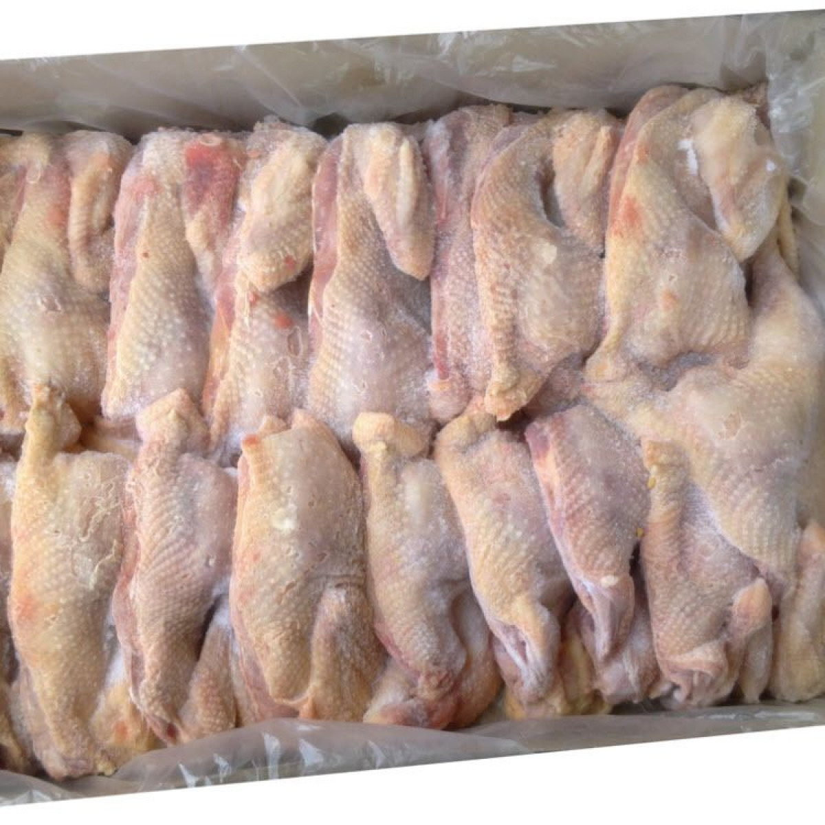 DÉVELOPPEMENT DU SECTEUR AGROALIMENTAIRE AU BÉNIN : L&rsquo;importation d&rsquo;œufs et de poulets congelés bientôt interdite