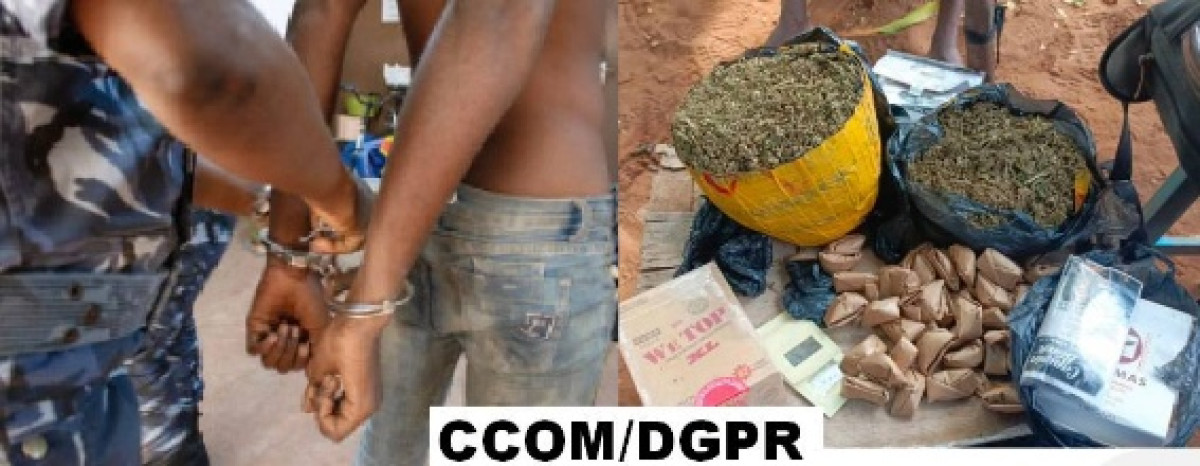 Lutte contre le trafic des stupéfiants: des trafiquants interpellés à Djougou et Ouèssè