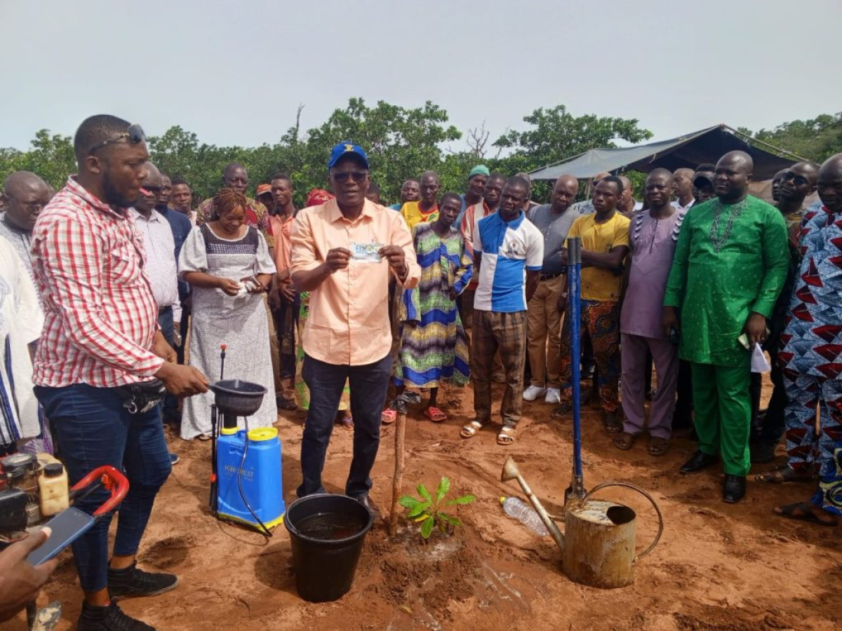 LANCEMENT DE LA CAMPAGNE DE PLANTATION DES PLANTS PERFORMANTS D’ANACARDIERS À NATITINGOU : TechnoServe dans une dynamique de booster la production de cajou