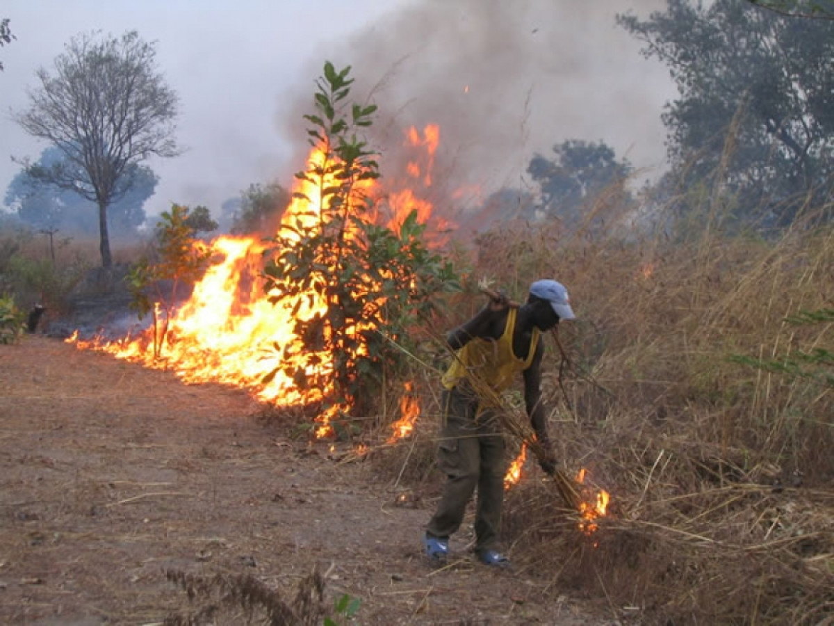 AGRICULTURE ET CHASSE AU BENIN : Le revers des feux de brousse sur l’environnement