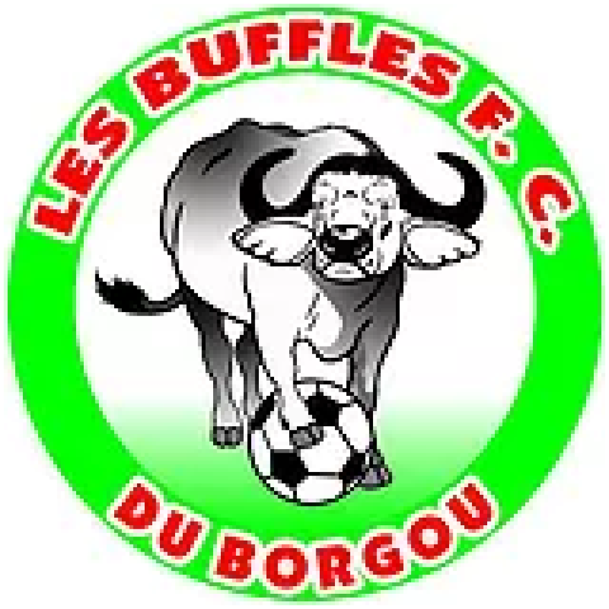 PARTICIPATION DES BUFFLES A LA COUPE DE LA CONFÉDÉRATION AFRICAINE DE FOOTBALL : Le Pvp Ibrahim Chabi Mama fait le point et projette