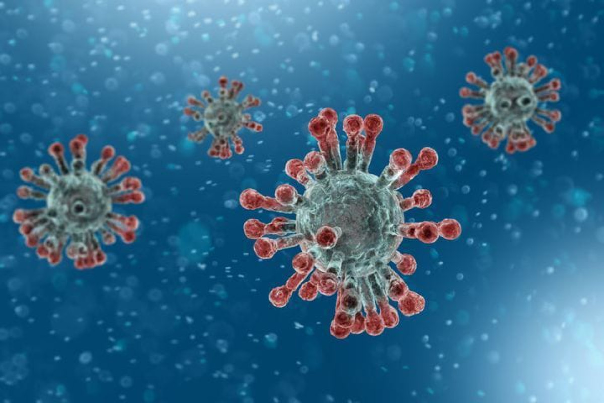 POUR AVOIR TRANSPORTE DES BURKINABÉS SUSPECTÉS D’ETRE INFECTÉS PAR LE CORONAVIRUS, Un bus ayant quitté Porga sommé de faire demi-tour de Birni pour Natitingou