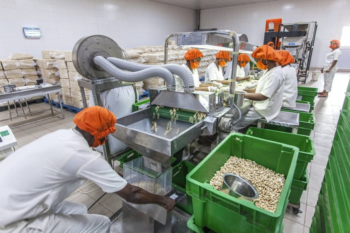 BÉNIN/IMPLANTATION D’UNE USINE DE TRANSFORMATION DE PRODUITS AGRICOLES : Le gouvernement autorise la signature de l’accord-cadre