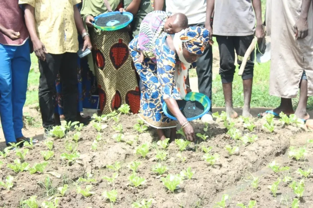 Utilisation du compost et du biochar dans le maraîchage: une pratique agroécologique pour une agriculture durable, saine et résiliente