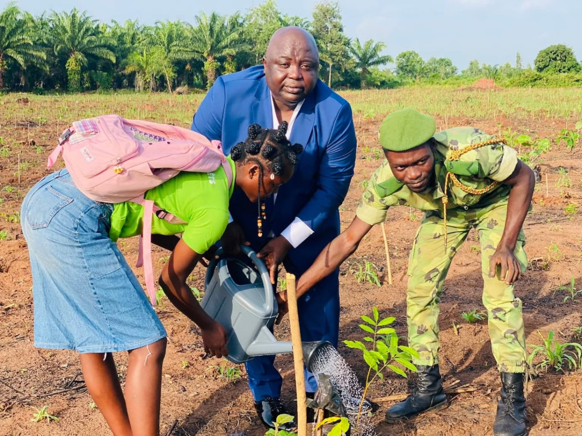 Journée nationale de l'arbre et campagne de reboisement 2026-2027: les ambitions du gouvernement pour un Bénin vert et résilient face aux changements climatiques