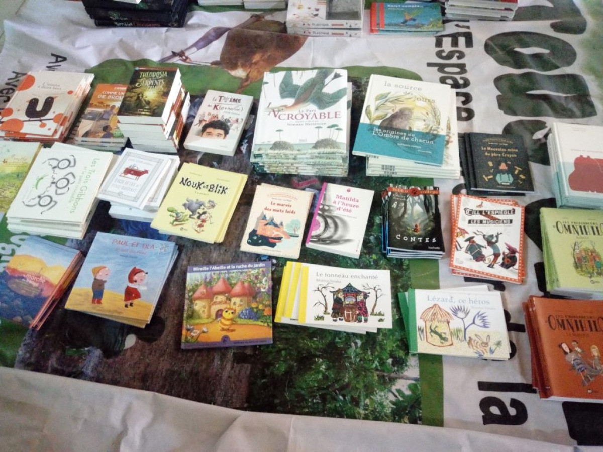 PROJET 1001 LIVRES DU PARTENARIAT PARAKOU-ORLEANS : 1058 livres offerts à sept collèges de Parakou