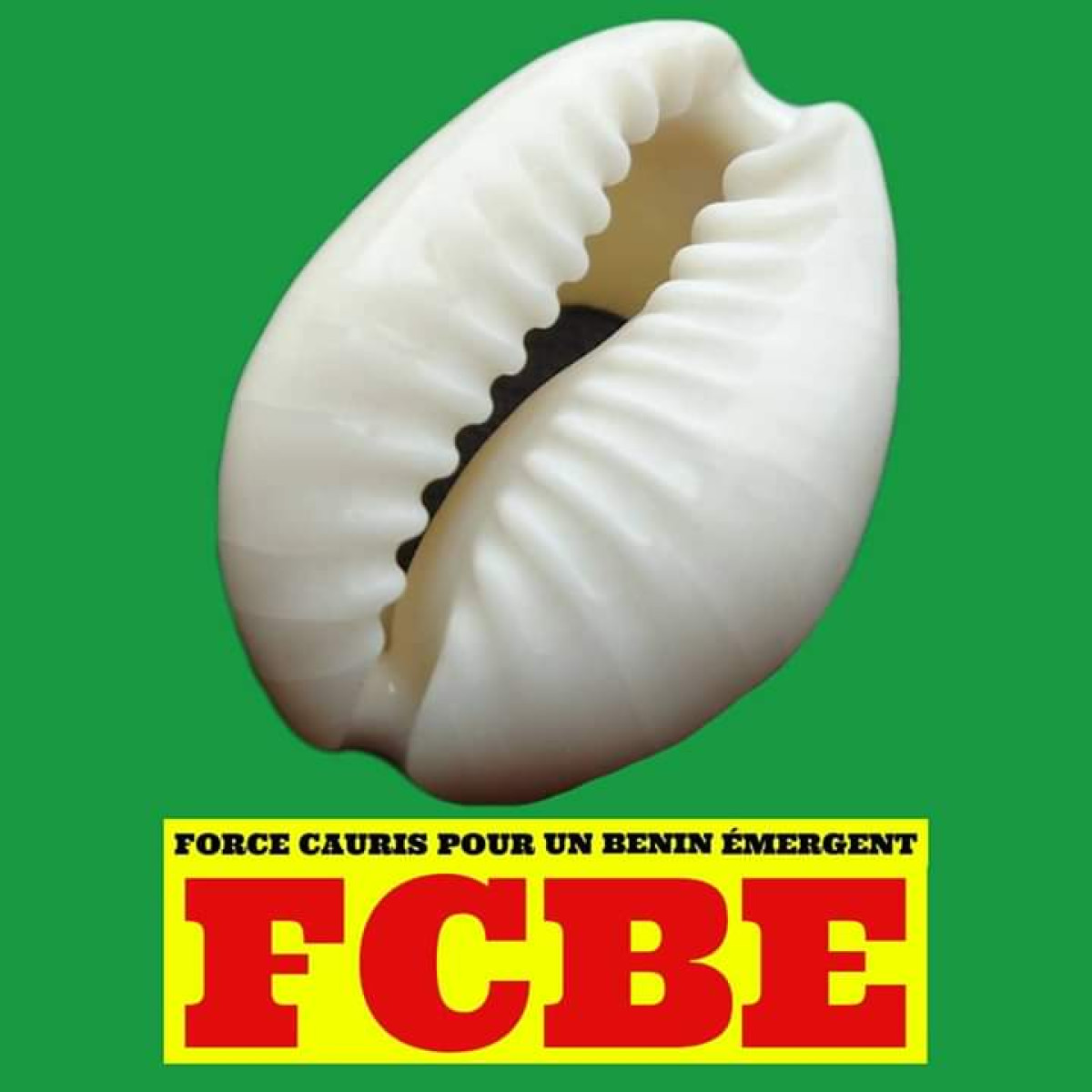 LÉGISLATIVES DE 2023 : Mot du Secrétaire Exécutif National du parti Fcbe