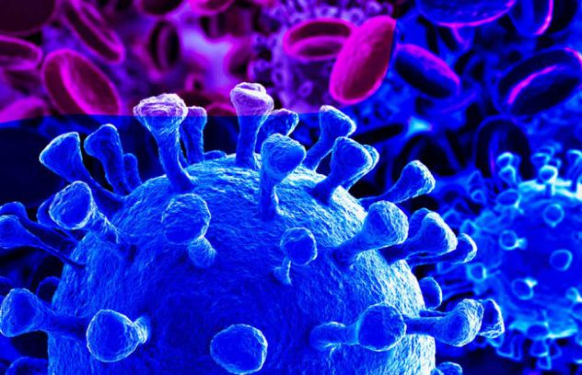 GESTION EFFICACE DU CORONAVIRUS EN AFRIQUE : Le Rwanda et le Togo en tête du peloton . Voici le classement complet