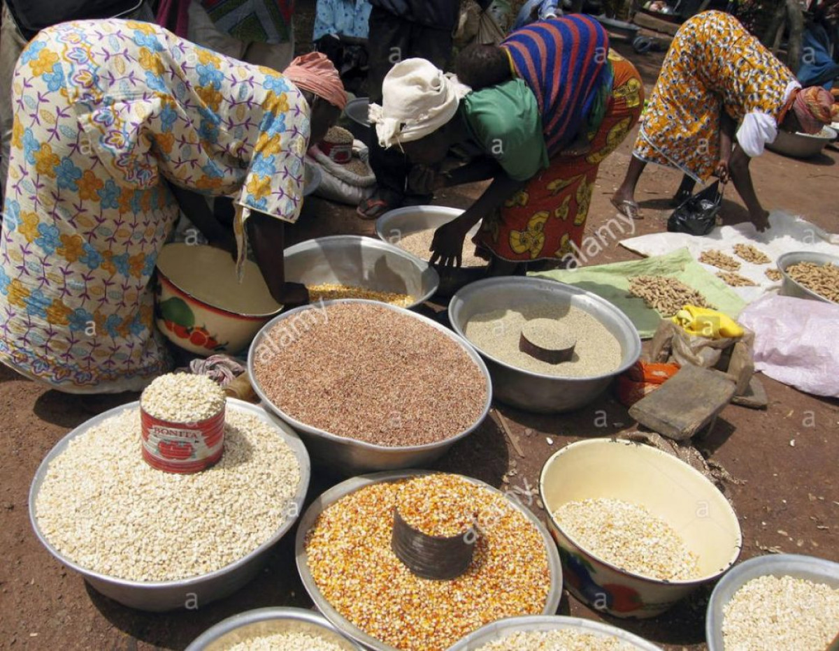 REVERS DU COMMERCE INTER-VILLES AU BÉNIN : La dignité féminine sacrifiée sur l’autel de l’autonomie financière!
