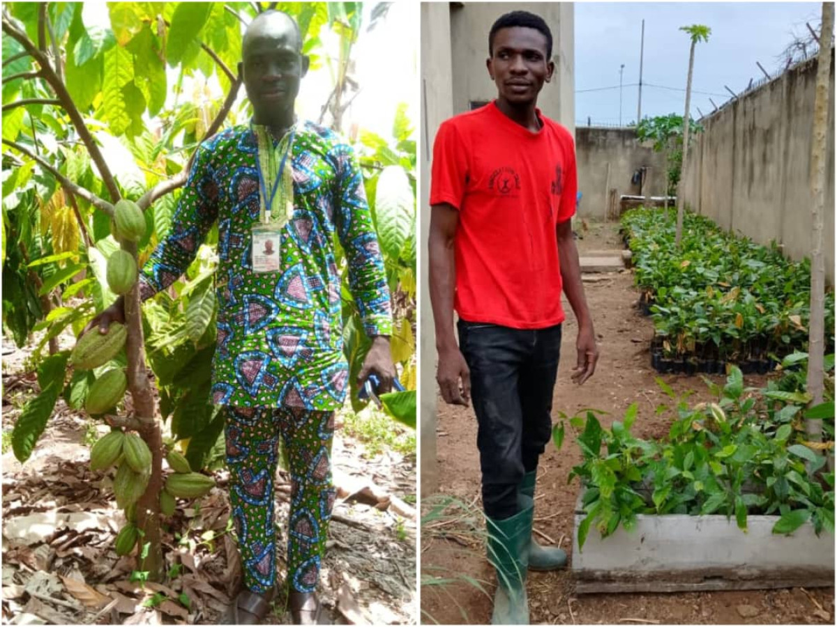 Promotion du cacao et du café au centre et au nord-Bénin :L'association Ibilè et la Coopérative Cacao-Café lancent un vaste programme