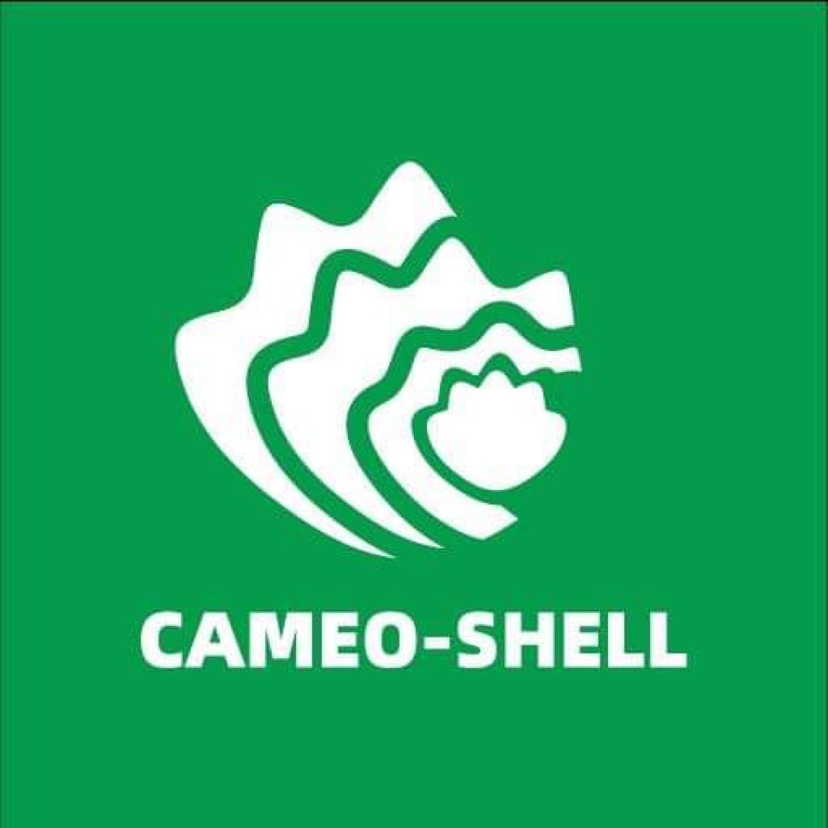 DOSSIER CAMÉO SHELL AU BÉNIN : L’affaire renvoyée au 27 juin prochain