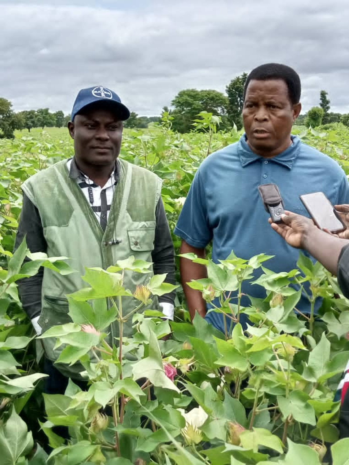 SENSIBILISATION DES COTONCULTEURS DE L’ALIBORI : La Fn-Cvpc dans une dynamique de production de 900 000 tonnes de coton graine