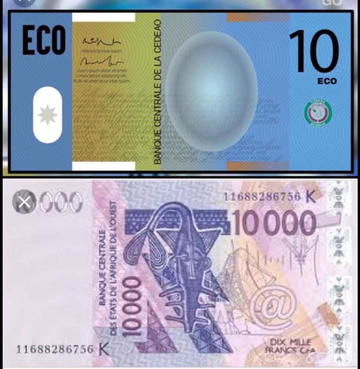 SOUVERAINETE MONETAIRE EN AFRIQUE : L’Eco et le Franc Cfa, même père même mère !