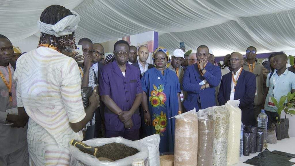 SEMAINE DU CAJOU DU BÉNIN ÉDITION 2023 : TechnoServe et ses partenaires pour la valorisation de la filière anacarde