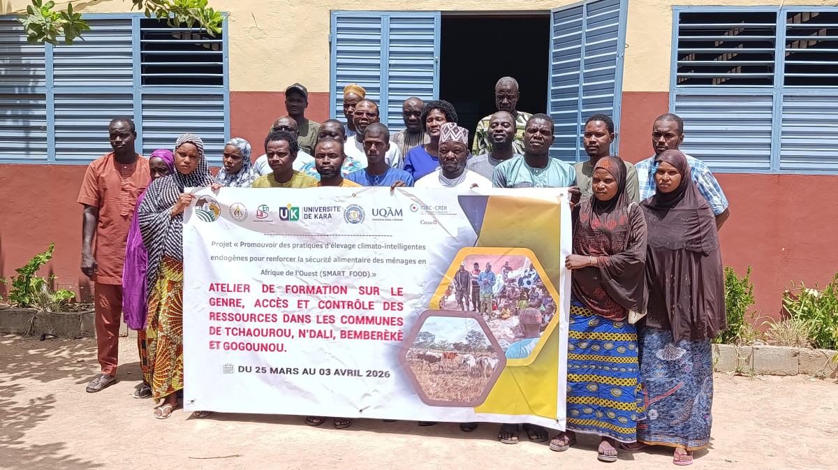 Pour des aliments de qualité pour le bétail à Tchaourou, N'Dali, Bembéréké et Gogounou: le Projet Smart-Food renforce les capacités des éleveurs