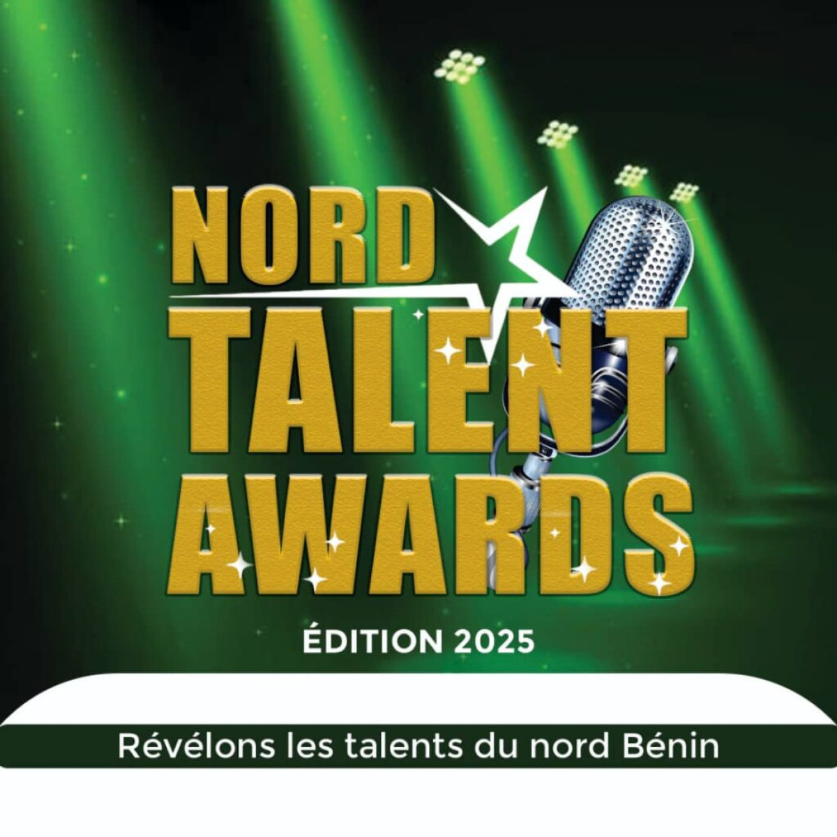 Bénin/Nord Talent Awards: les inscriptions sont déjà ouvertes