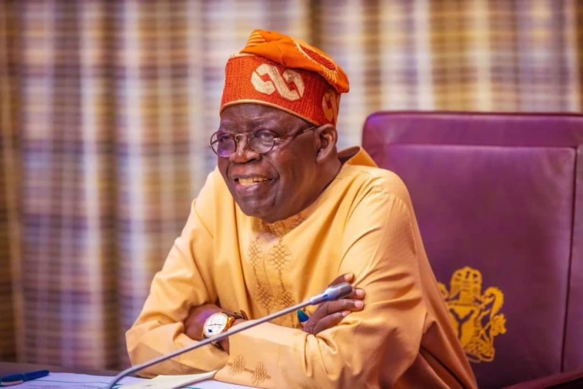 NIGER : Le Président Tinubu propose 9 mois de transition