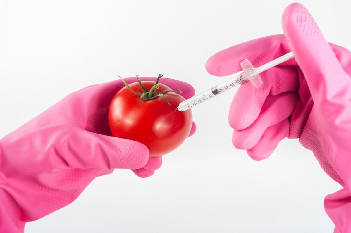 SANTÉ/PRODUITS AVEC DES ORGANISMES GÉNÉTIQUEMENT MODIFIÉS (OGM) : La consommation à vau-l’eau qui tue silencieusement ! . Les conseils du médecin biologiste Souaibou Orou Sirikou
