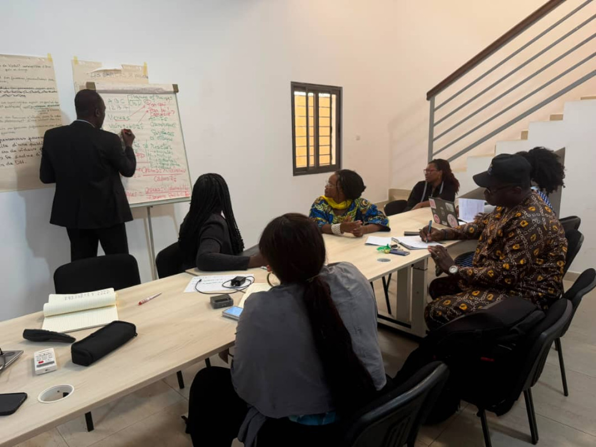 Sécurité numérique, droits et méthodes de protection :Asf Canada forme journalistes, Ddh et Osc à Cotonou