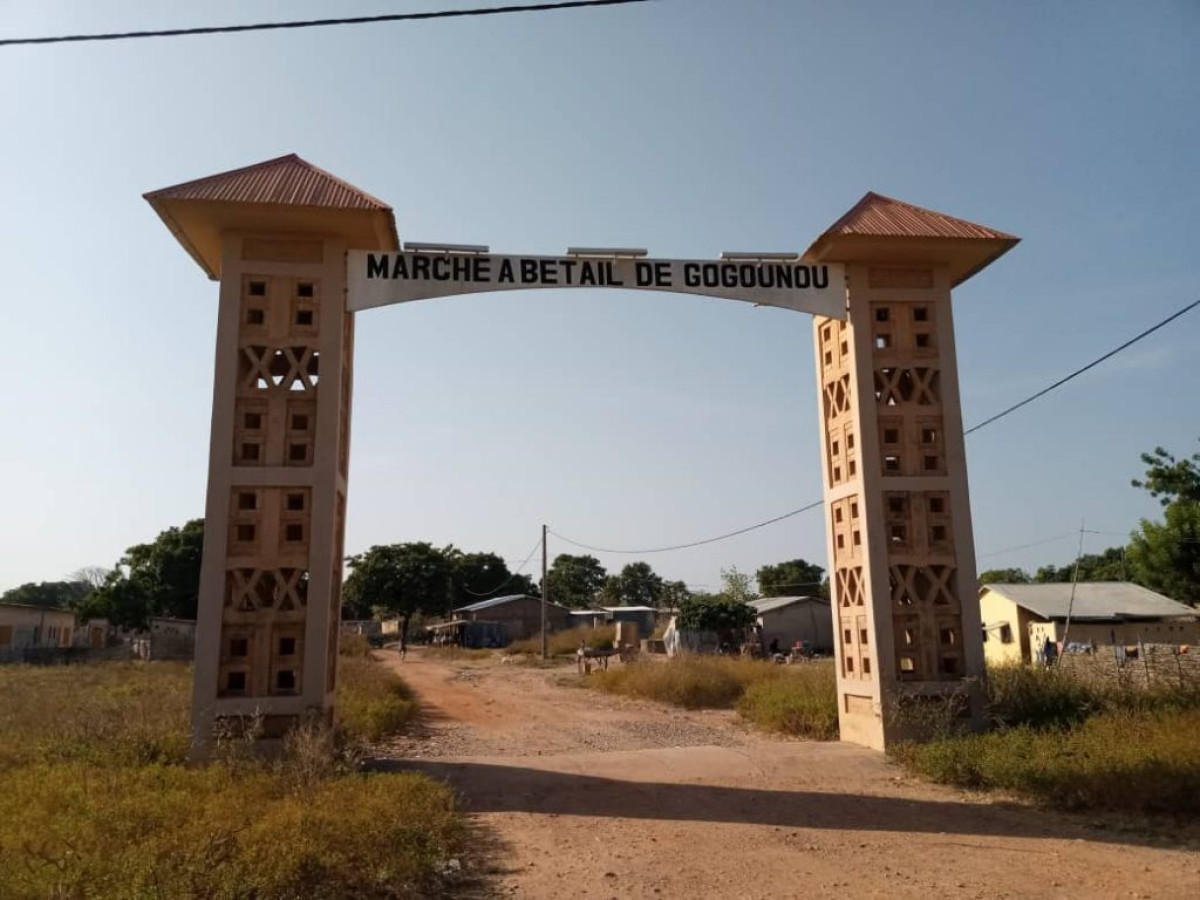 MAIRIE DE GOGOUNOU : Les recettes des marchés à bétail font polémique . L’Algmbg déclare 11 599 150F Cfa