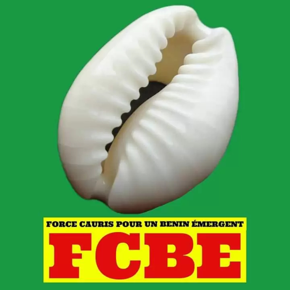 ACTUALITE POLITIQUE AU BENIN : Les cauris se vident