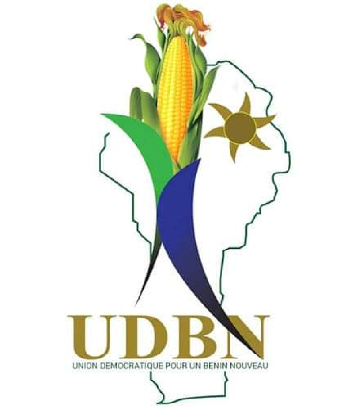 VIE DES PARTIS POLITIQUES AU BÉNIN : Plusieurs membres de l’Udbn de Parakou démissionnent