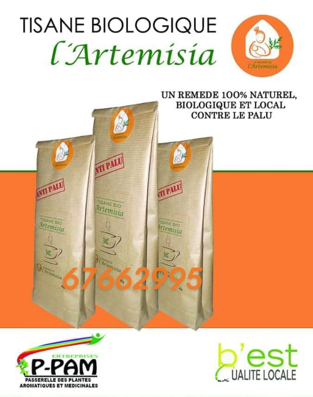 POUR UNE LUTTE EFFICACE CONTRE LE PALUDISME : Artemisia, l&rsquo;ultime solution