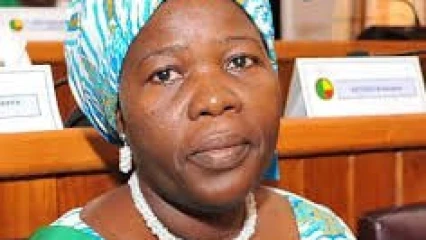 BENIN/ASSEMBLEE NATIONALE 8ème LEGISLATURE : Les députés ont adopté 38 lois en 2020