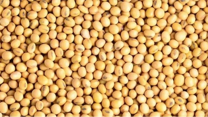 BÉNIN : Le kilogramme du soja change de prix