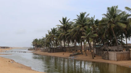 BENIN/REBOISEMENT DU SEGMENT DE LA PLAGE : Les occupants du long de la bande côtière invités à libérer l&rsquo;espace