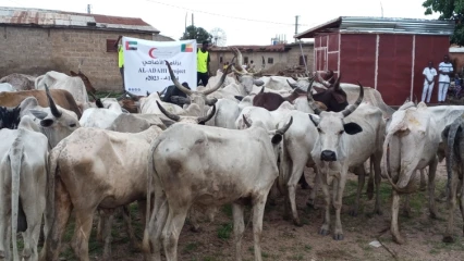 DISTRIBUTION DE VIANDE DE TABASKI À PARAKOU GRÂCE À ÉMIRATS RED CRESCENT : Al-Islaah fait vivre la joie de l&rsquo;Aïd El Kébir à 500 fidèles musulmans  . 40 bœufs immolés pour la circonstance