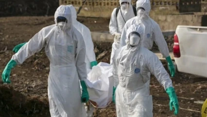 FIÈVRE DE LASSA AU NIGÉRIA : 20 décès et 109 cas enregistrés