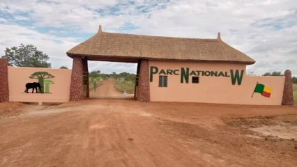 GESTION DU PARC W : African Parc aux commandes