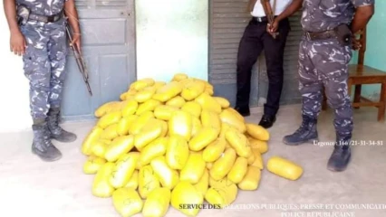 IFANGNI/EN POSSESSION DE CHANVRE INDIEN : Un présumé chef de ghetto arrêté