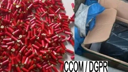 Lutte contre le trafic illicite d'armes au Bénin: 500 cartouches de calibre 12 interceptées, un convoyeur interpellé à Bétérou