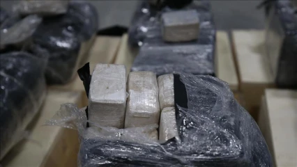 NIGER : 109,32 kg de cannabis en provenance du Bénin saisis