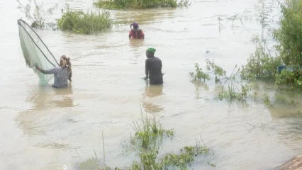 PÊCHE SUR LE FLEUVE OKPARA : Une activité génératrice de revenus battant de l&rsquo;aile . Production halieutique loin de satisfaire les populations