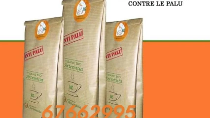 POUR UNE LUTTE EFFICACE CONTRE LE PALUDISME : Artemisia, l&rsquo;ultime solution