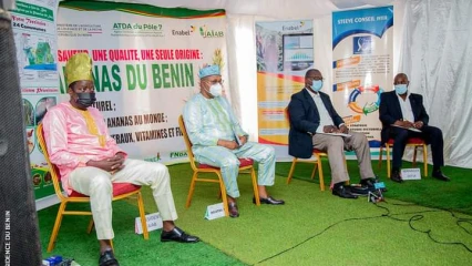 PREMIERE EDITION DES JOURNEES DE L&rsquo;ANANAS DU BENIN : Les acteurs se donnent la main pour une revalorisation de la filière