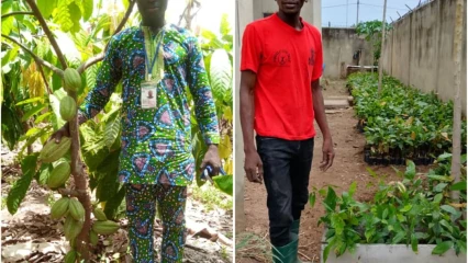 Promotion du cacao et du café au centre et au nord-Bénin :L'association Ibilè et la Coopérative Cacao-Café lancent un vaste programme