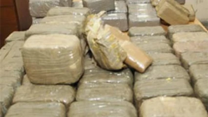 SÉCURITÉ : 1 972 kg de drogue saisis à la frontière Bénin-Togo