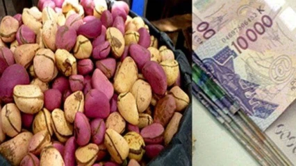 Vie de couple: Le prix de la dot désormais entre 200 et 250 mille à N&rsquo;Dali et Pèrèrè 