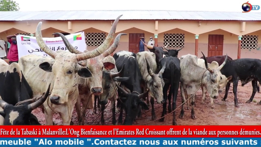 FÊTE DE TABASKI: L'Ong Bienfaisance et l'Emirates Red Croissant offrent de la viande aux démunies
