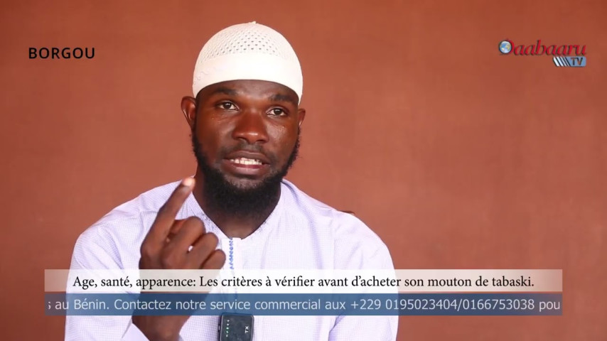 Âge, santé, apparence : Les critères à vérifier avant d’acheter son mouton de Tabaski