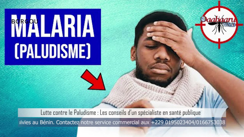LUTTE CONTRE LE PALUDISME: Les conseils d’un spécialiste en santé publique.