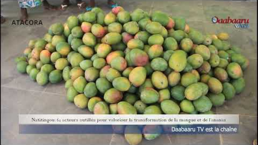 NATITINGOU : 64 ACTEURS OUTILLÉS POUR VALORISER LA TRANSFORMATION DE LA MANGUE