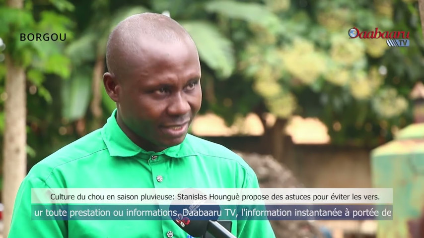 CULTURE DU CHOU EN SAISON PLUVIEUSE : Stanislas Houngué propose des astuces pour éviter les vers